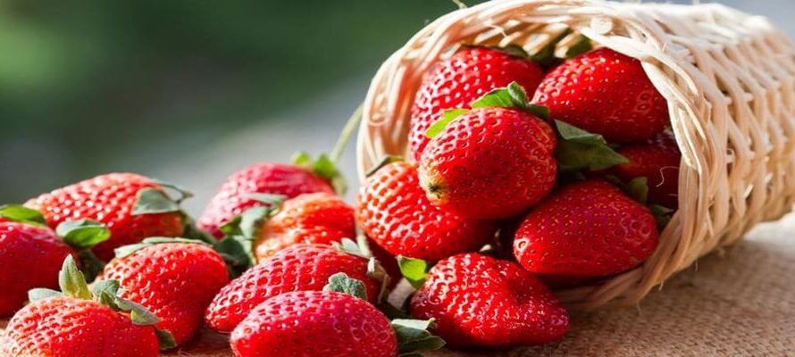 Как мыть клубнику: 3 простых способа, которые стоит попробовать
